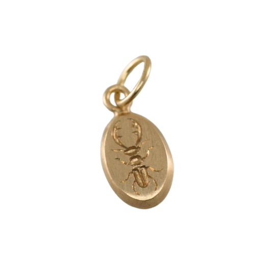 Mini Stag Beetle Pendant