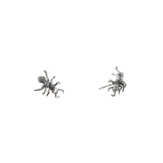 Ant Studs