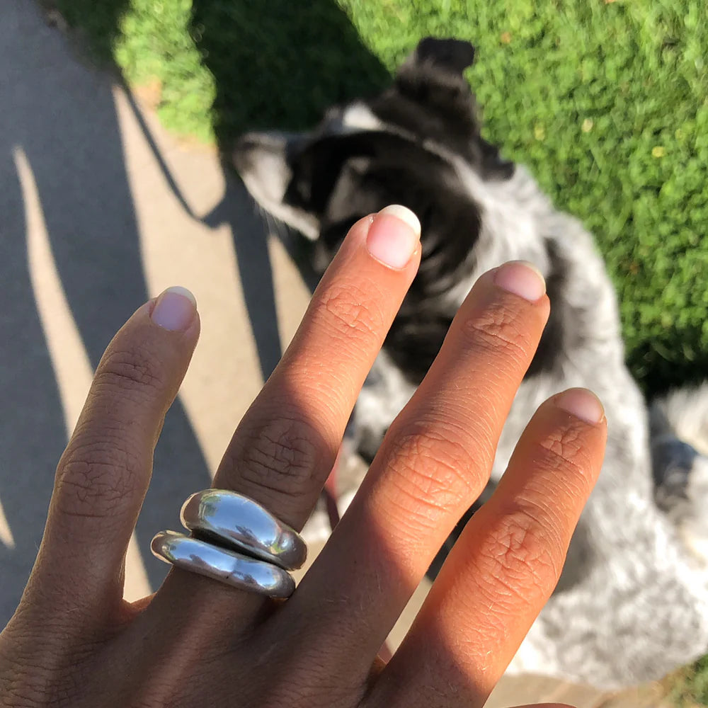 Hand with silver rings in front of a dog on grass