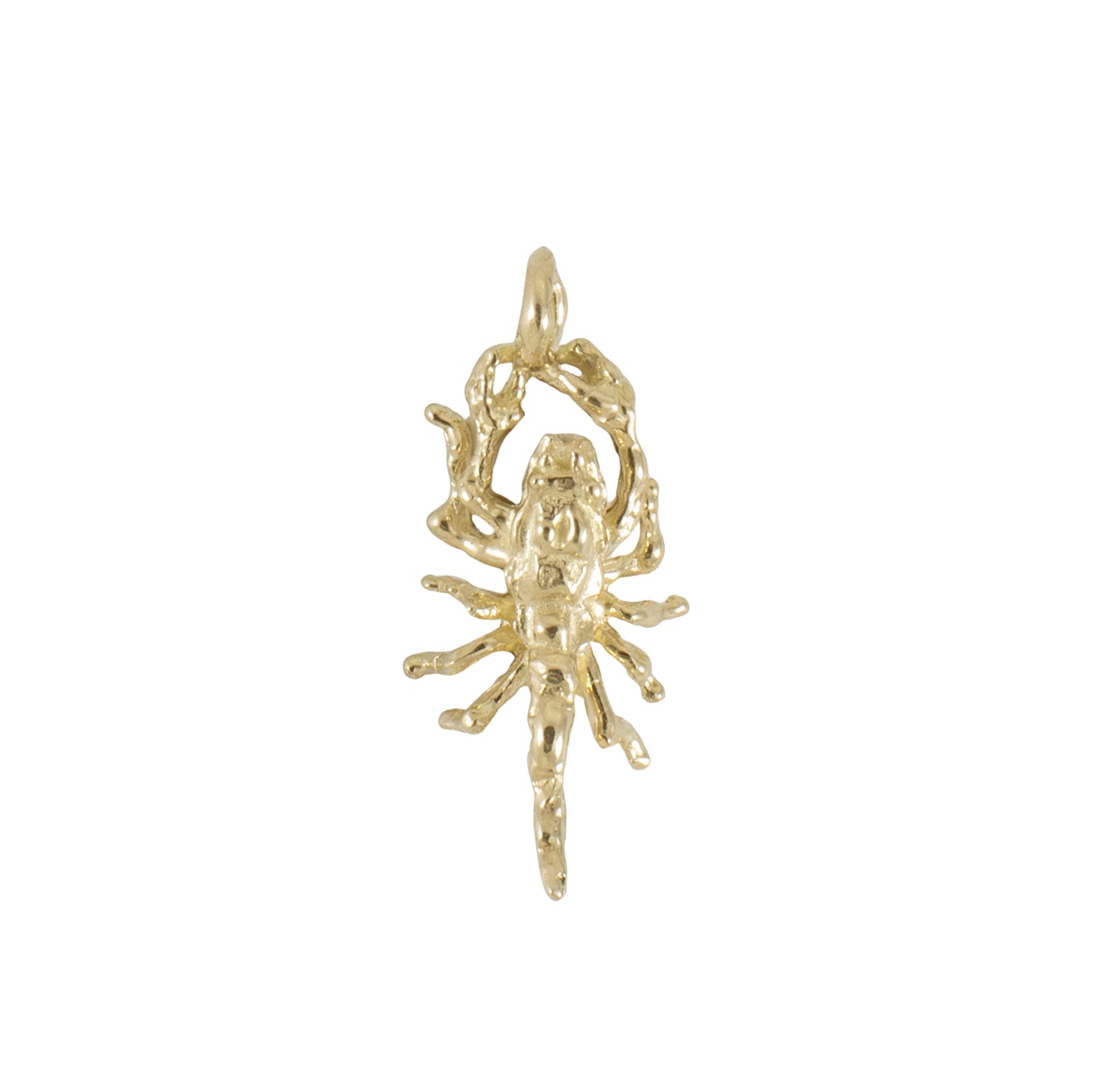 Scorpion Charm