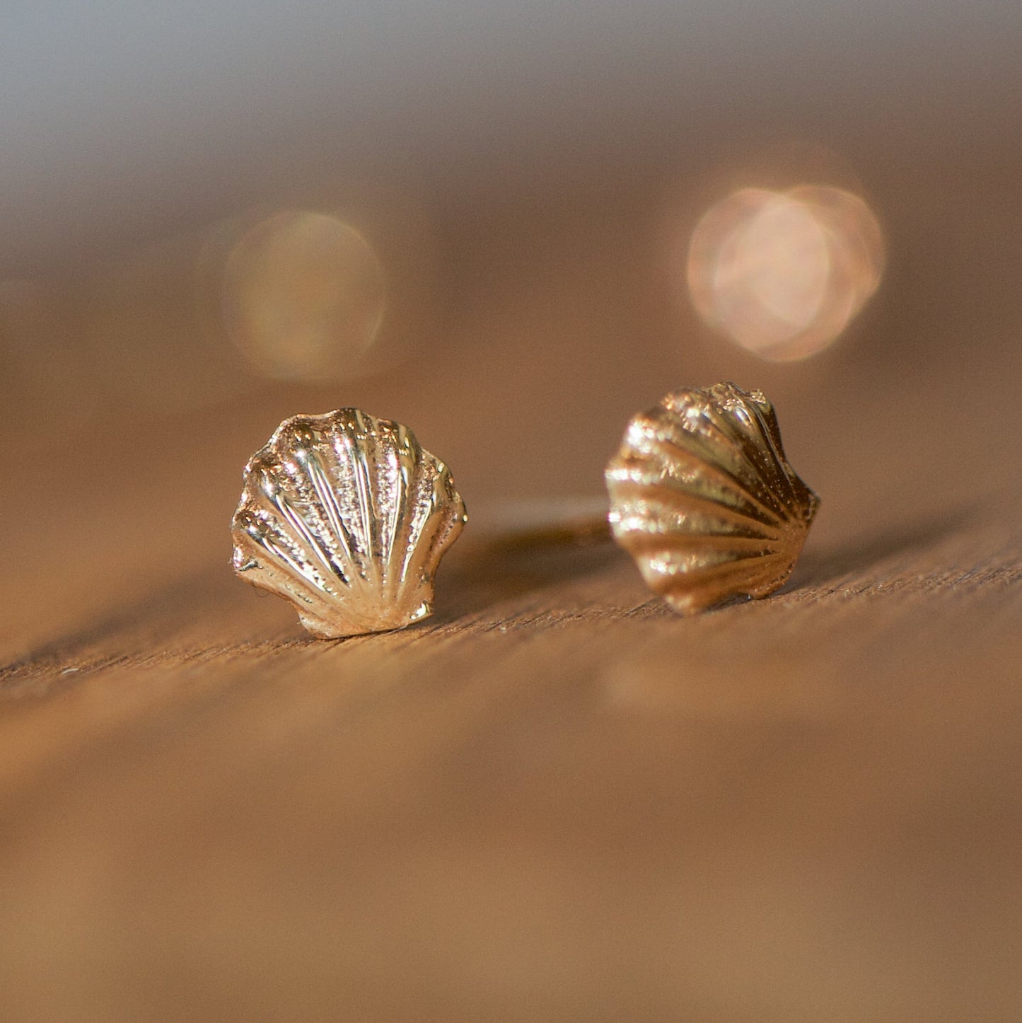 Venus Shell Stud Earrings - 14k Gold