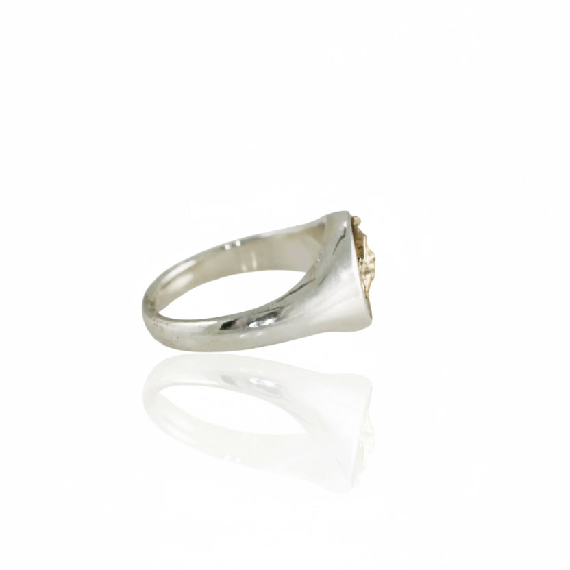 Taos Ski Valley Sky Island Signet Ring - Two Tone