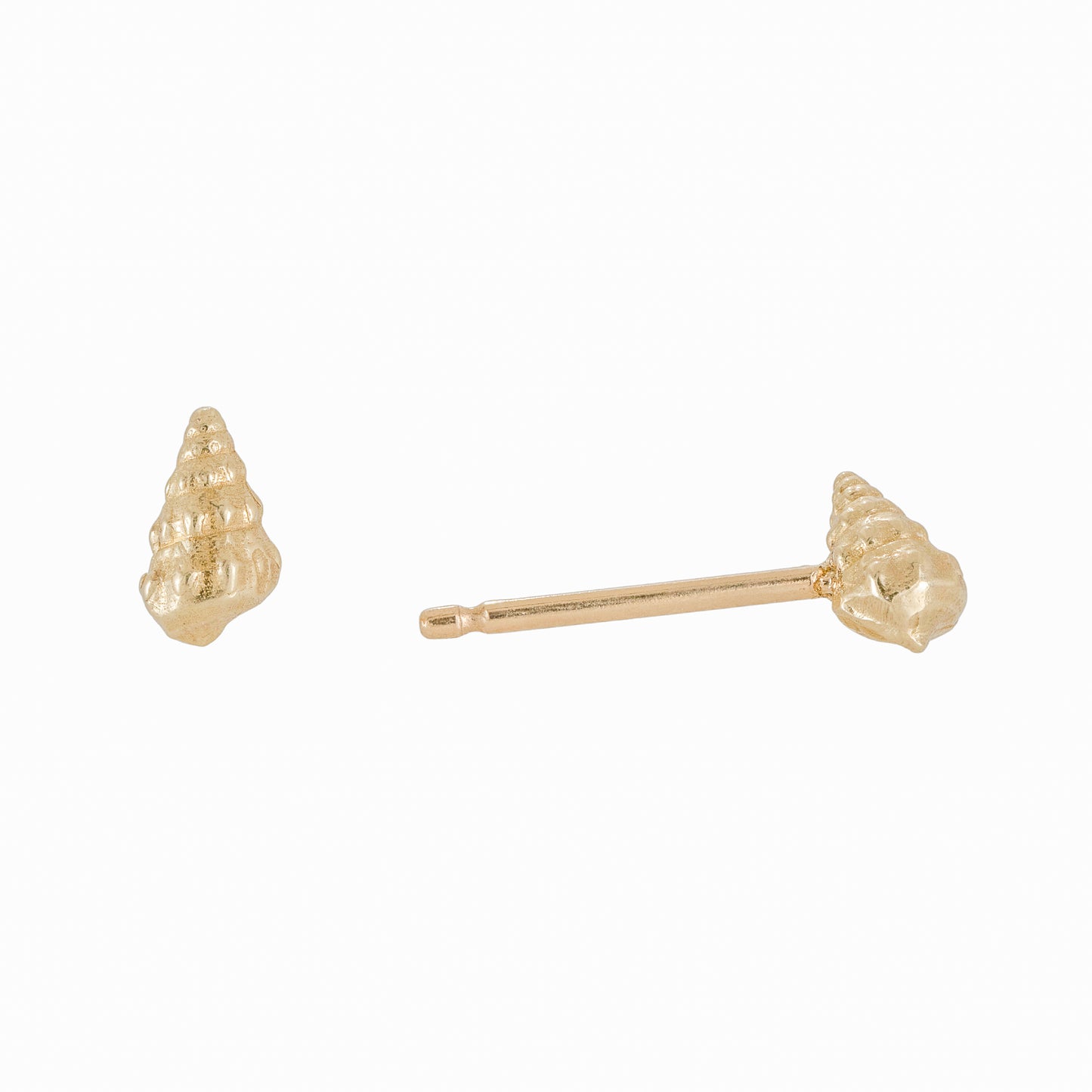 Medium Wentletrap Seashell Studs