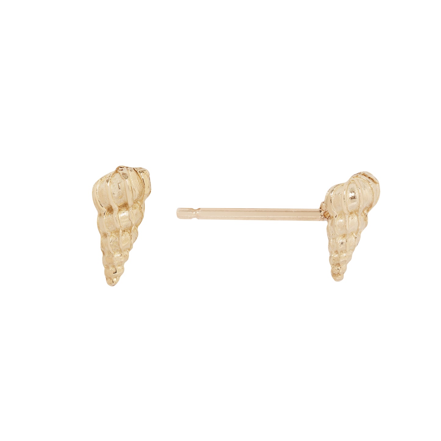 Large Wentletrap Seashell Studs