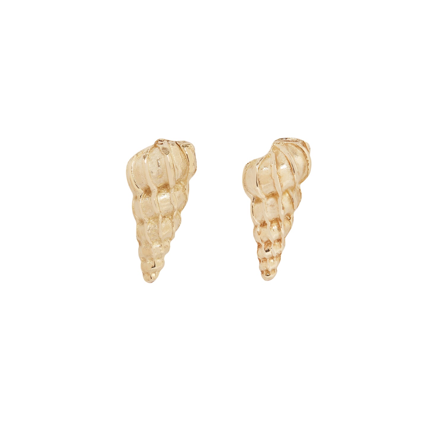 Large Wentletrap Seashell Studs