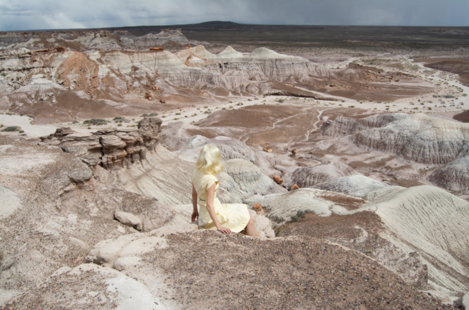 Petrified Forest by Nicole Cudzilo, a fine art photography print showing a small yellow-clad figure amid layered desert rock formations and pale terrain.