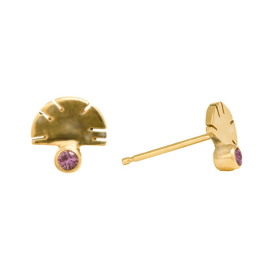 AQUILLA STUDS