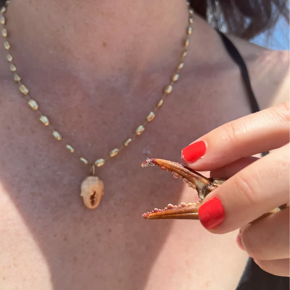 Apricot Crab Claw Charm – Hand Carved Conch Shell with 14k Gold