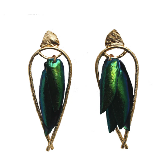 Arched Seasons - Enclosed Beetle Wing Earrings