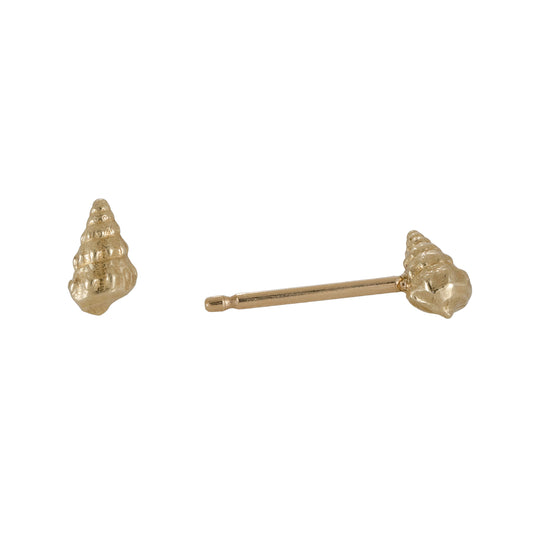 Medium Wentletrap Seashell Studs