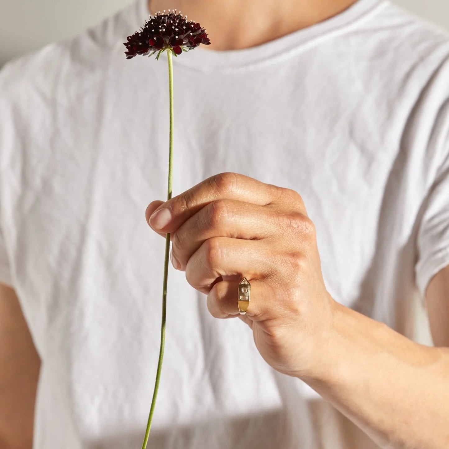 White Diamond Bauhaus Signet Ring - 14k Gold