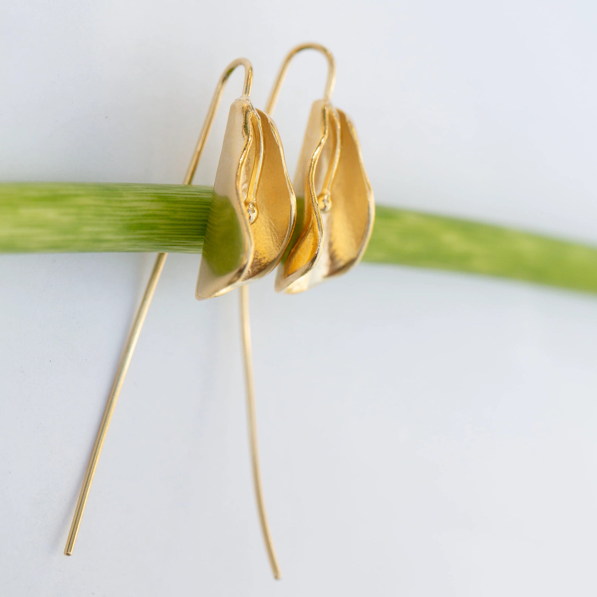Gold earrings on a green leaf against a white background