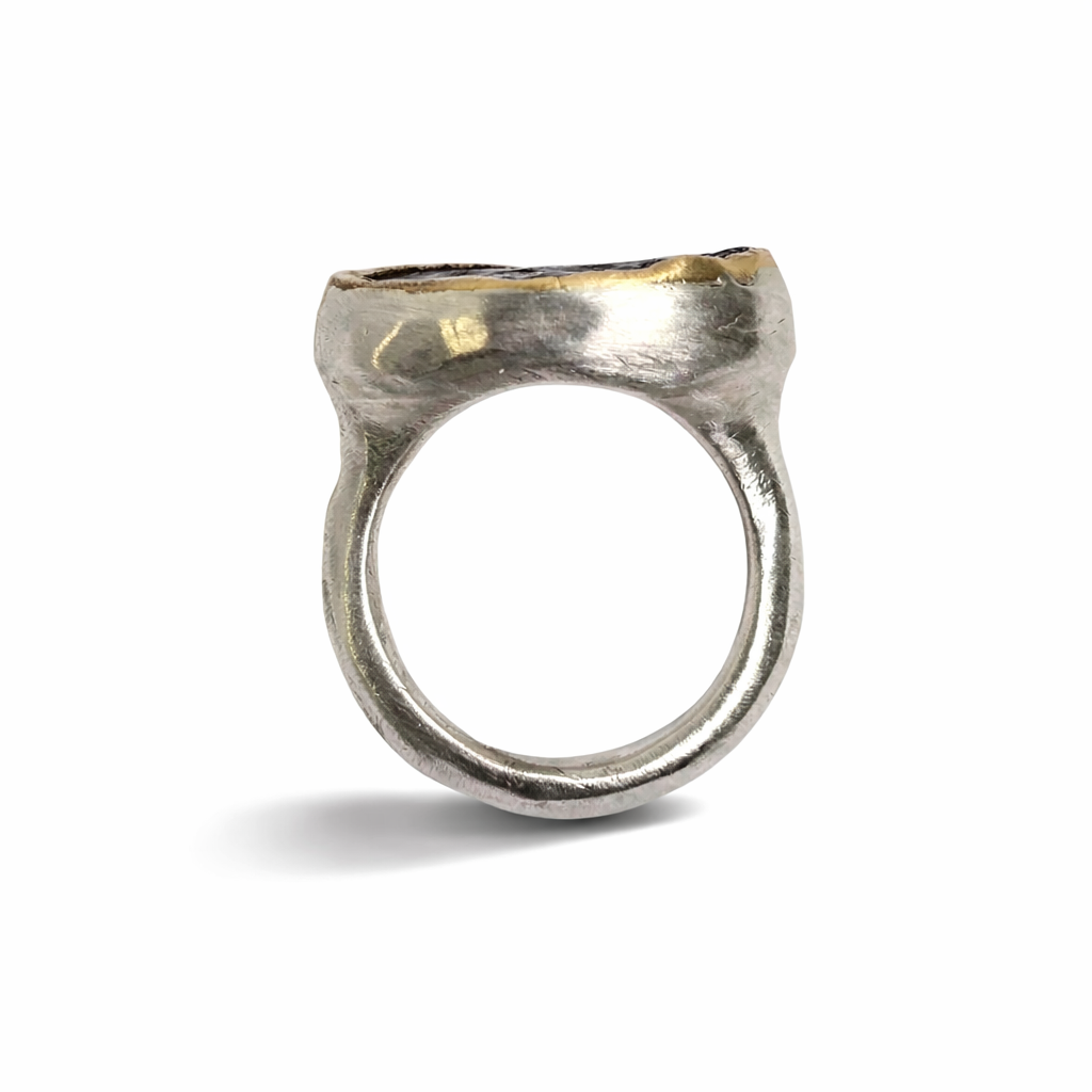 Rough Black Tourmaline Shine Ring - Sterling Silver & 22k Gold