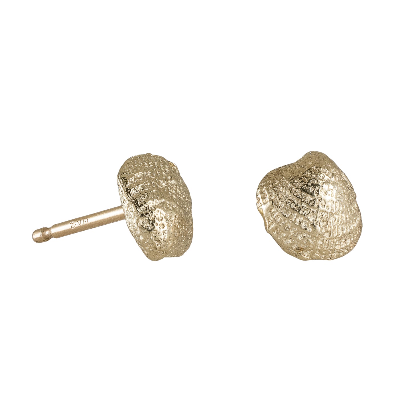 Seashell Studs