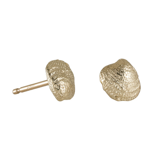 Seashell Studs
