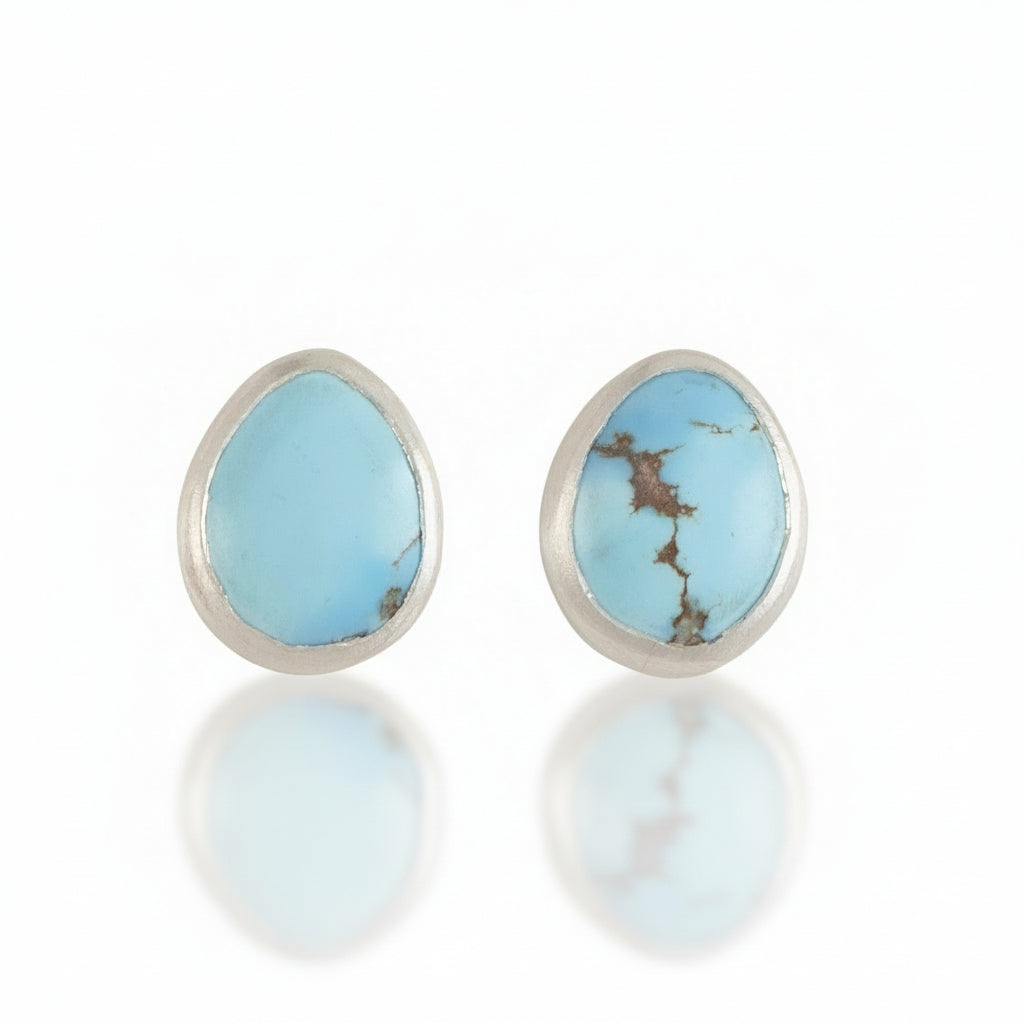 Turquoise stone earrings with silver setting on a white background