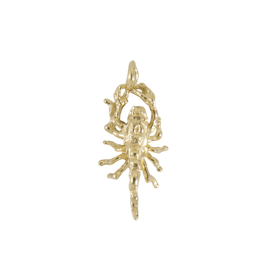 Scorpion Charm