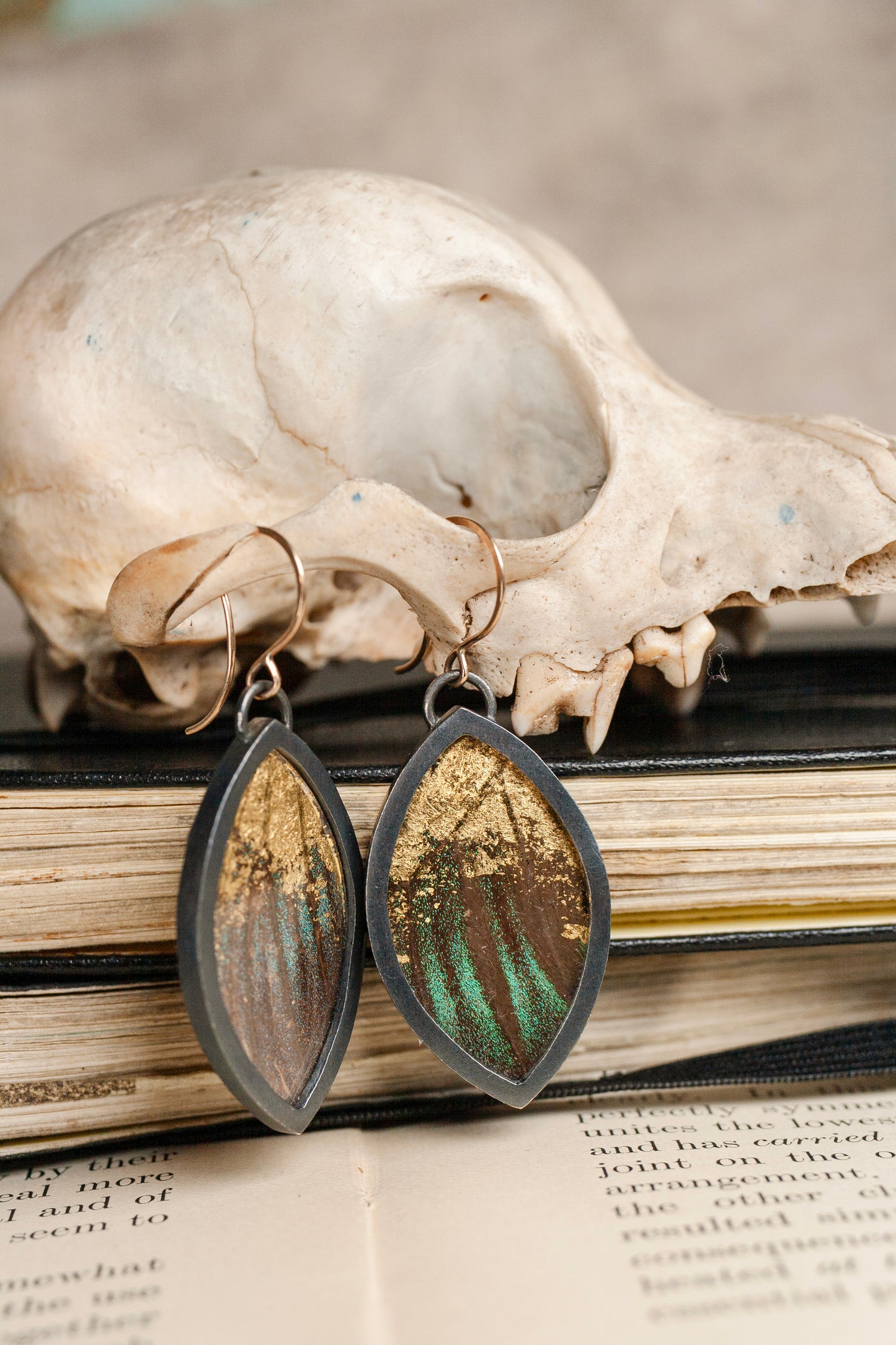 Marquise Encasement Earrings - 14K Gold, Sterling Silver, Real Butterfly Wing