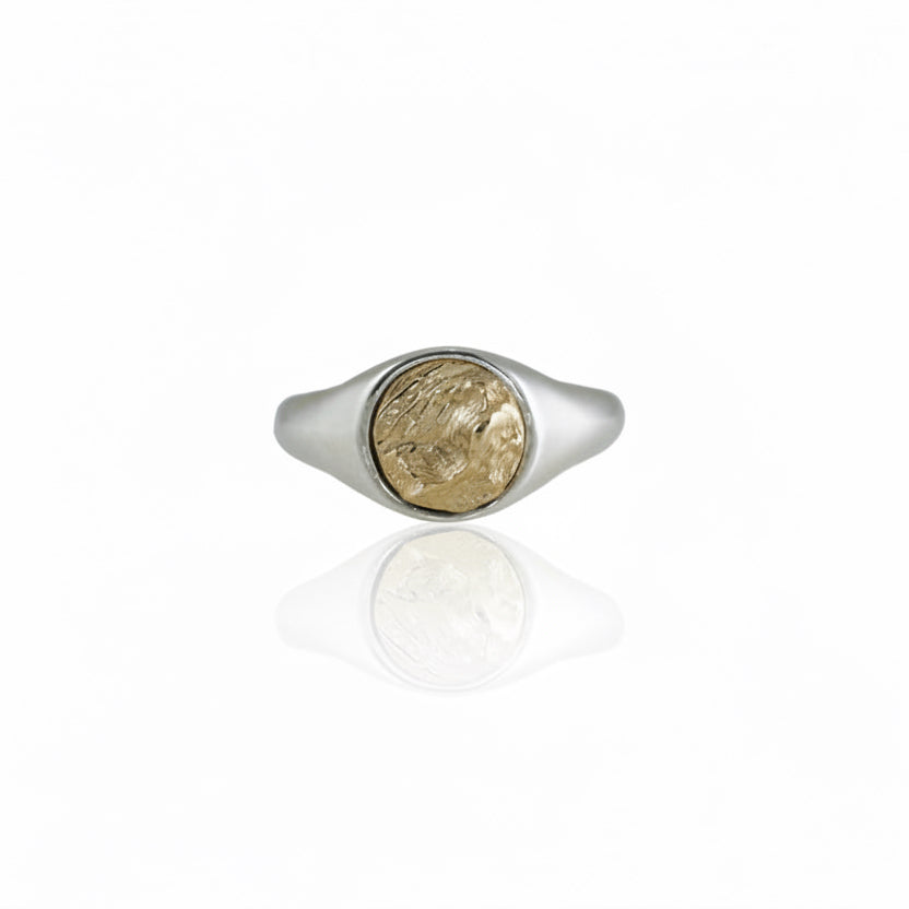 Sandia Crest Sky Island Signet Ring - Two Tone