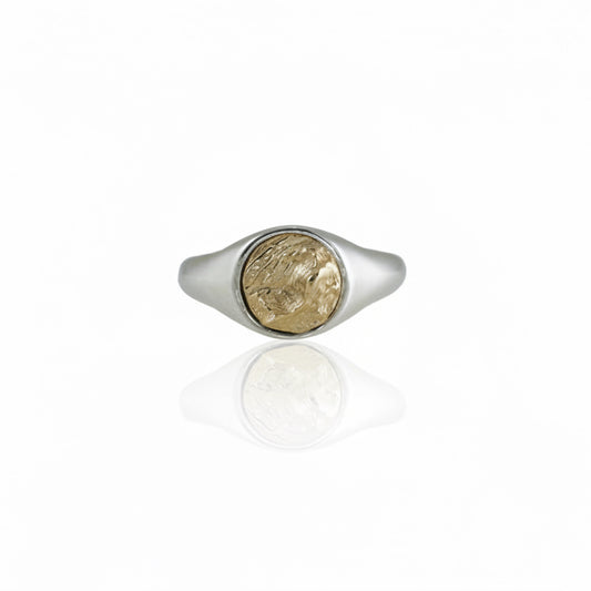 Sandia Crest Sky Island Signet Ring - Two Tone