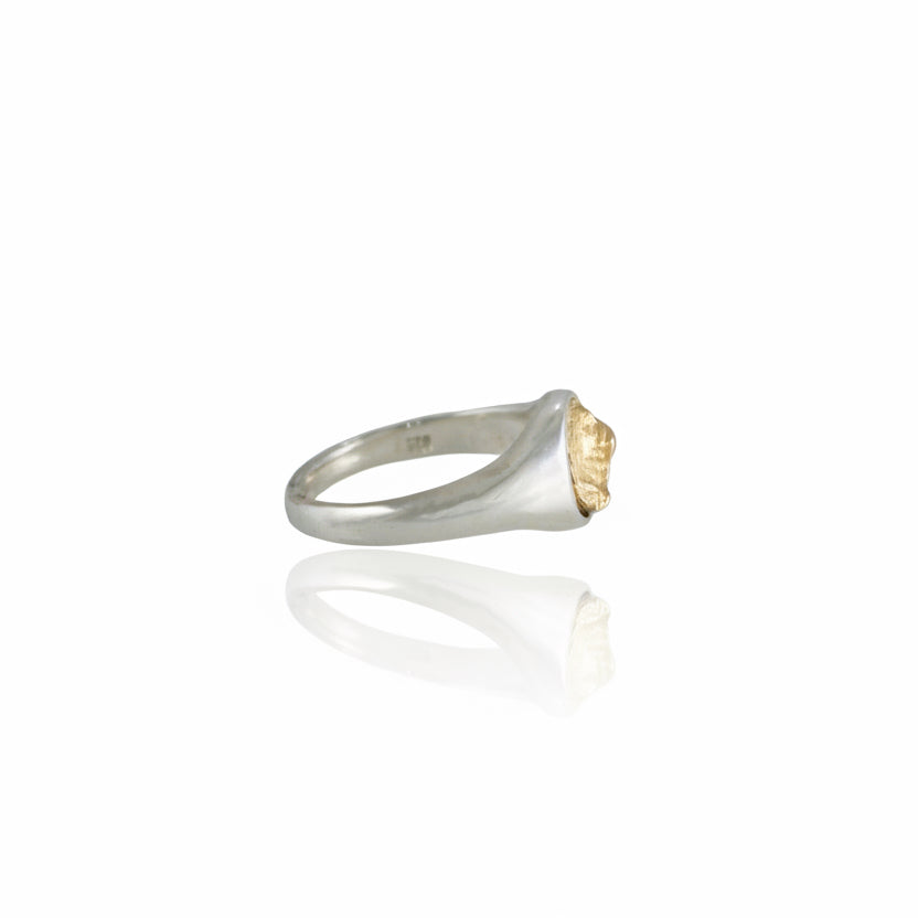 Sandia Crest Sky Island Signet Ring - Two Tone