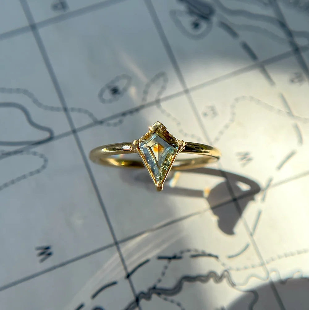 Due North Compass Ring #2 - Bi-Color Montana Sapphire & 14k Gold