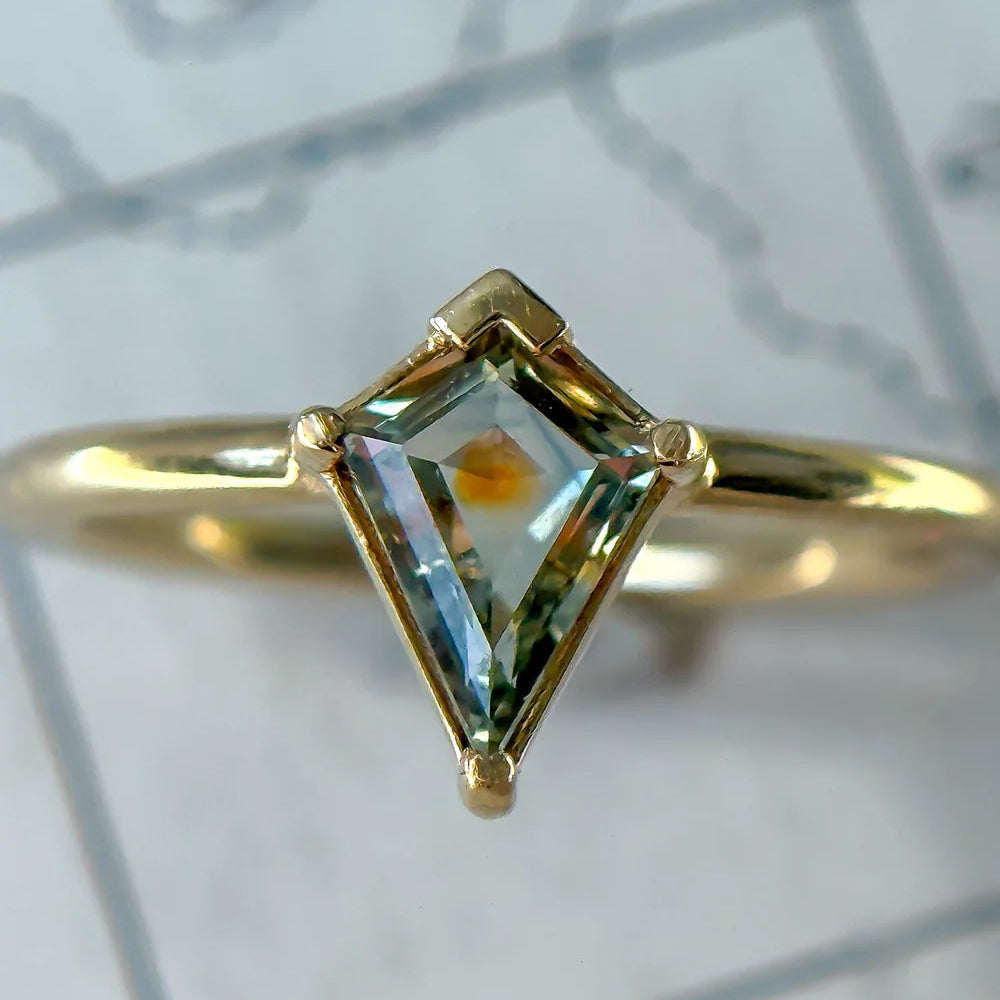 Due North Compass Ring #2 - Bi-Color Montana Sapphire & 14k Gold