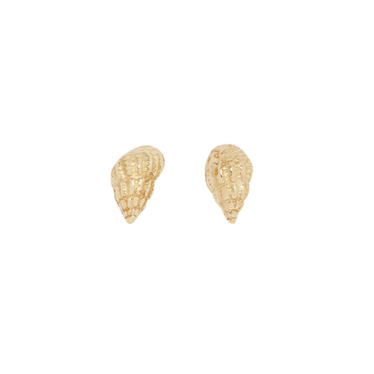 Micro Wentletrap Seashell Studs