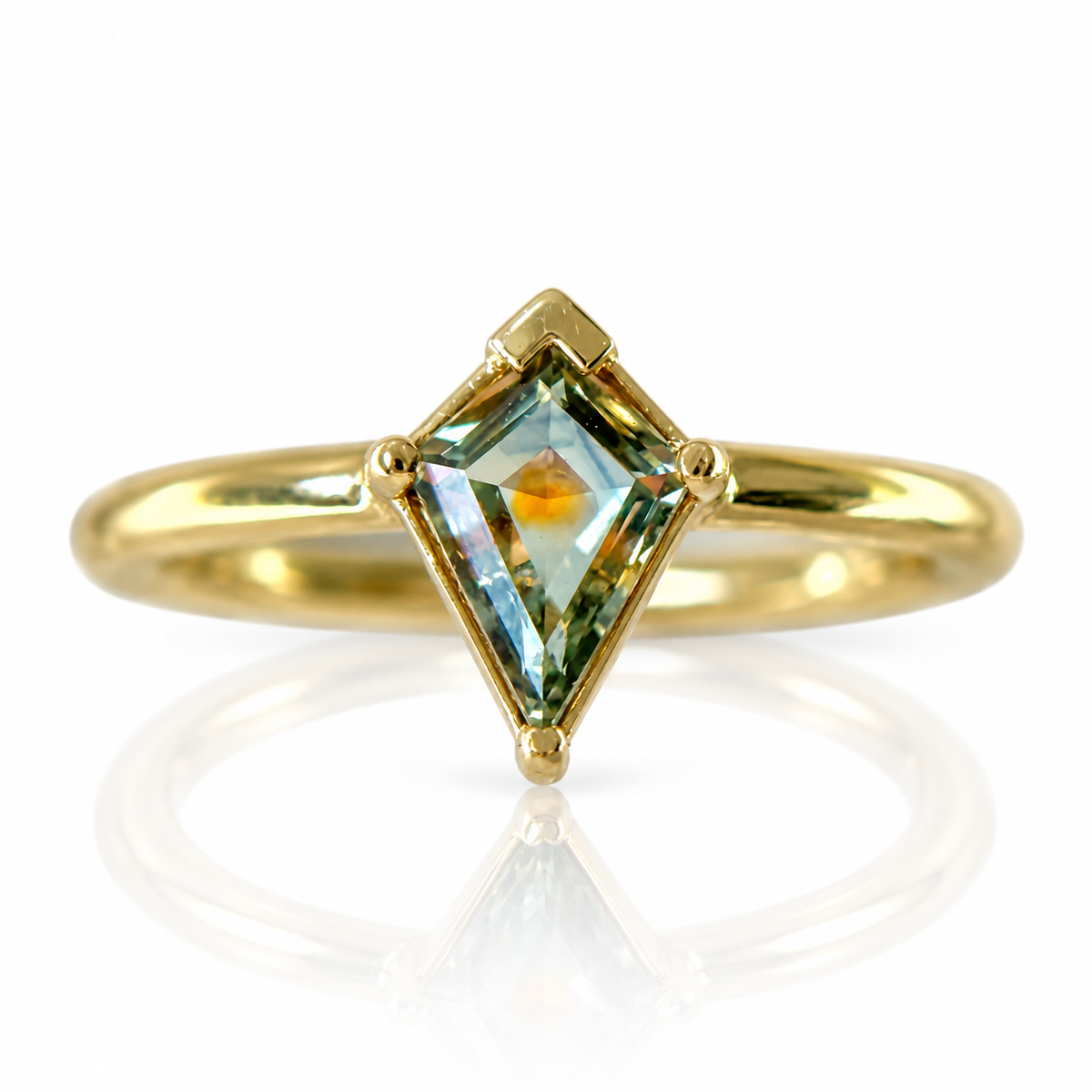 Due North Compass Ring #2 - Bi-Color Montana Sapphire & 14k Gold