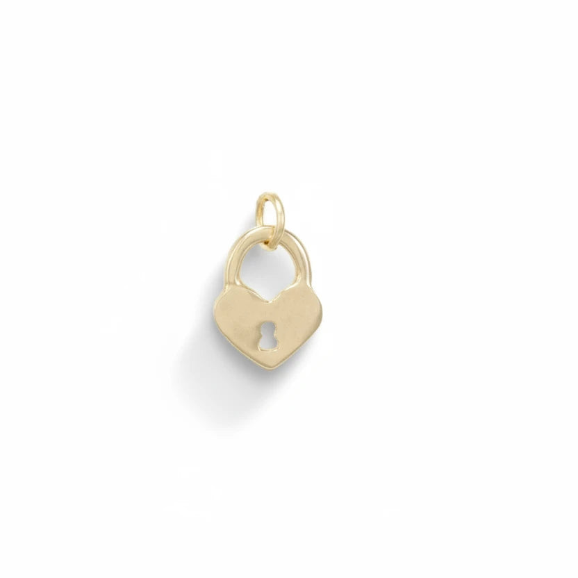 Tiny Heart Lock Necklace – 14k Gold & Oxidized Sterling Silver