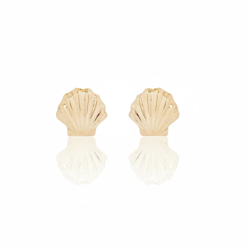 Venus Shell Stud Earrings - 14k Gold