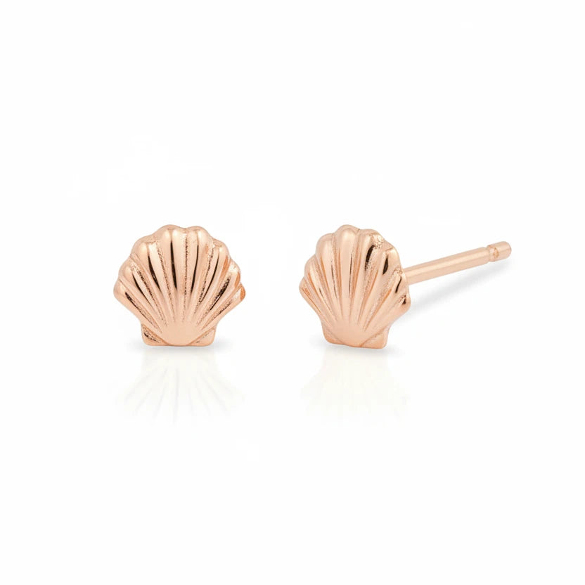Venus Shell Stud Earrings - 14k Gold