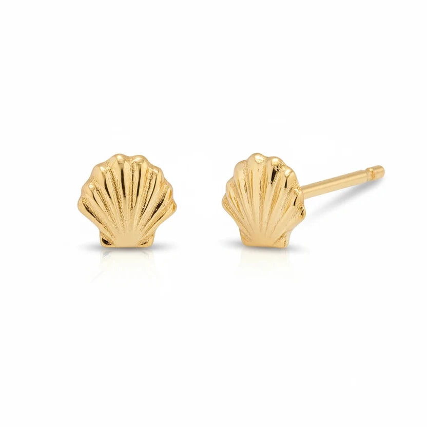 Venus Shell Stud Earrings - 14k Gold