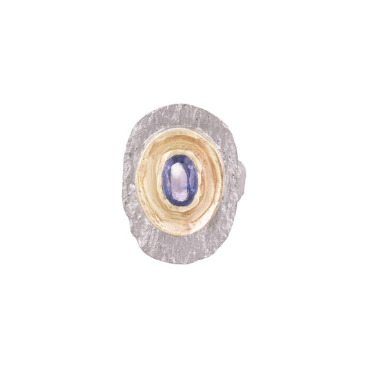 Fragmented Ring II