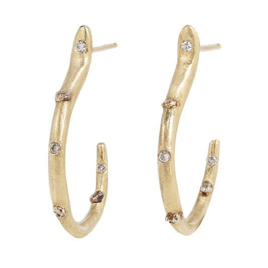 Medium Ancient Sedimentary Hoops