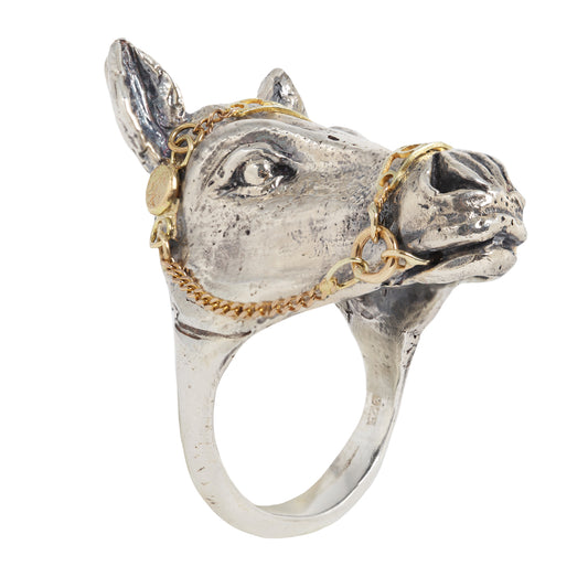 Horse Ring with Kinetic Bridal