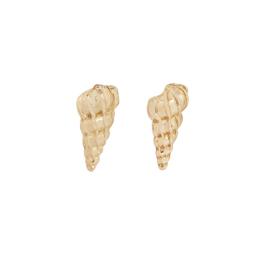 Large Wentletrap Seashell Studs