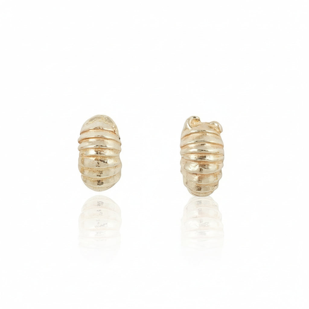 Front view of Roly Poly Stud Earrings in 14k yellow gold, featuring hand-carved rounded beetle forms with delicate segmented detailing.