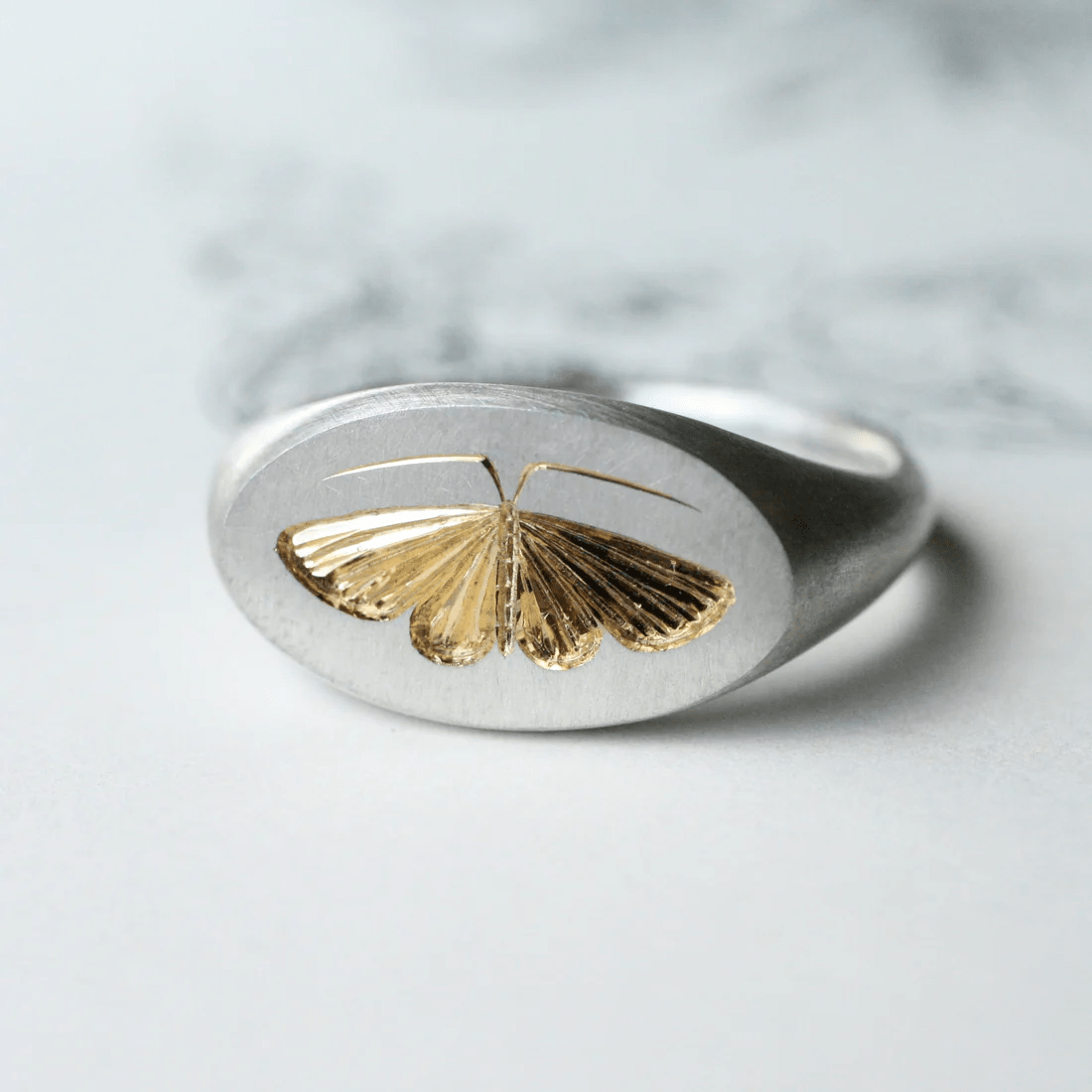 Front view of a two-tone house moth ring with a sterling silver band and gold moth engraving.