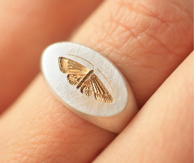 Two-tone house moth ring
